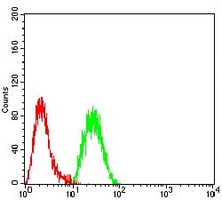 4 - Anti-EZH1 Antibody AP95824