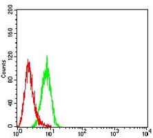 4 - Anti-PSMA Antibody AP95829