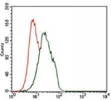4 - Anti-FOXP1 Antibody AP95830