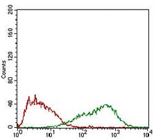 4 - Anti-FSH beta Antibody AP95832