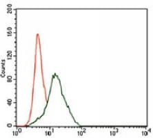 4 - Anti-Frizzled 5 Antibody AP95834