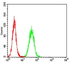 4 - Anti-GATA3 Antibody AP95836