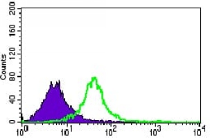 4 - Anti-Nucleostemin Antibody AP95839