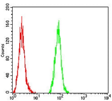 4 - Anti-GM130 Antibody AP95840