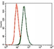 4 - Anti-GLUR2 Antibody AP95845