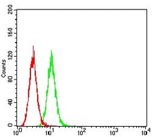 4 - Anti-GRIK3 Antibody AP95846