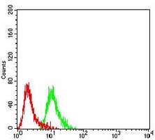 4 - Anti-mGLUR2 Antibody AP95847