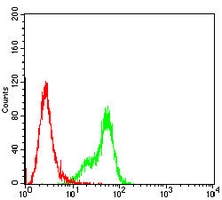 4 - Anti-GSTP1 Antibody AP95849