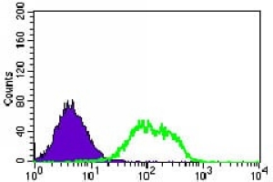 4 - Anti-GUCY1A3 Antibody AP95850