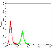 4 - Anti-Histone H2A.X Antibody AP95851