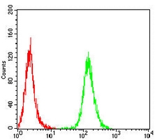 4 - Anti-HAS1 Antibody AP95852