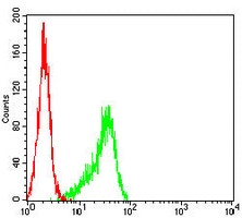 4 - Anti-Histone Deacetylase 1 Antibody AP95853