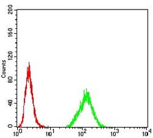 4 - Anti-Histone Deacetylase 2 Antibody AP95854