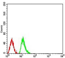 4 - Anti-Histone H4 (MonoMethyl-K20) Antibody AP95856