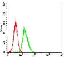 4 - Anti-Histone H3 Antibody AP95858