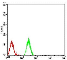 4 - Anti-Histone H3 (Acetyl-K27) Antibody AP95859