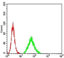 4 - Anti-HLA-B Antibody AP95860