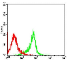 4 - Anti-HLA-DPA1 Antibody AP95861