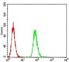 4 - Anti-HLA-DRA Antibody AP95862