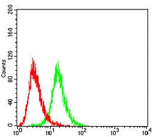 4 - Anti-HLA-DRB1 Antibody AP95863