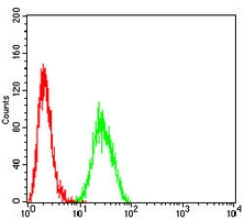 4 - Anti-HLA-F Antibody AP95864