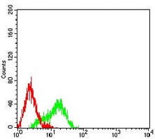 4 - Anti-hnRNP M Antibody AP95866