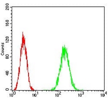 4 - Anti-HPRT Antibody AP95867