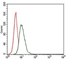 4 - Anti-HSP90 alpha Antibody AP95868