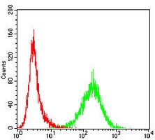 4 - Anti-HSPA4 Antibody AP95869
