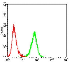4 - Anti-HSPA4 Antibody AP95870