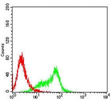 4 - Anti-GRP75 Antibody AP95871
