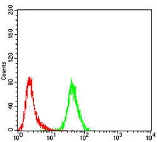 4 - Anti-GRP75 Antibody AP95872