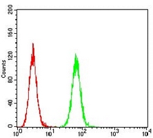 4 - Anti-5-HT3B Antibody AP95873