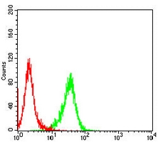4 - Anti-IFNAR1 Antibody AP95877