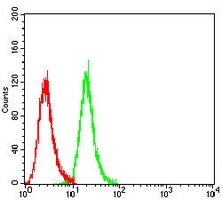 4 - Anti-IGF2BP3 Antibody AP95879