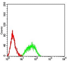 4 - Anti-CD213a1 Antibody AP95882