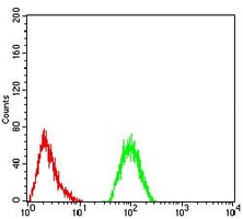 4 - Anti-IL1RAPL1 Antibody AP95885
