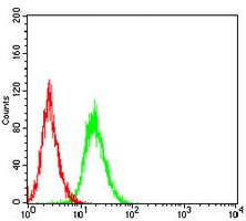 4 - Anti-IRF3 Antibody AP95892