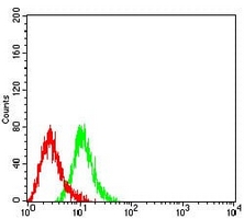 4 - Anti-CD104 Antibody AP95898