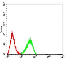 4 - Anti-CD339 Antibody AP95899