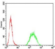 4 - Anti-TIP60 Antibody AP95902