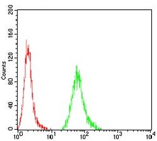 4 - Anti-KBTBD8 Antibody AP95903