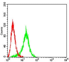 4 - Anti-KCNN4 Antibody AP95904