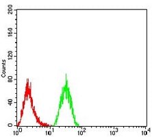 4 - Anti-KDM1A Antibody AP95905