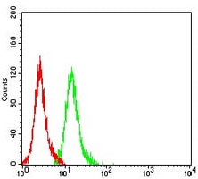 4 - Anti-KDM1A Antibody AP95906