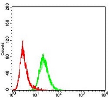 4 - Anti-FBL10 Antibody AP95907
