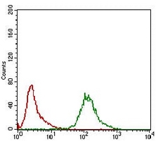 4 - Anti-SLM-1 Antibody AP95908