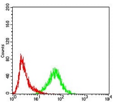 4 - Anti-Importin alpha 2 Antibody AP95911