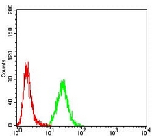 4 - Anti-Cytokeratin 10 Antibody AP95912