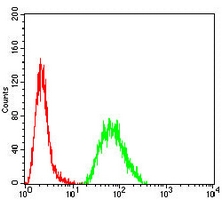 4 - Anti-Cytokeratin 14 Antibody AP95915